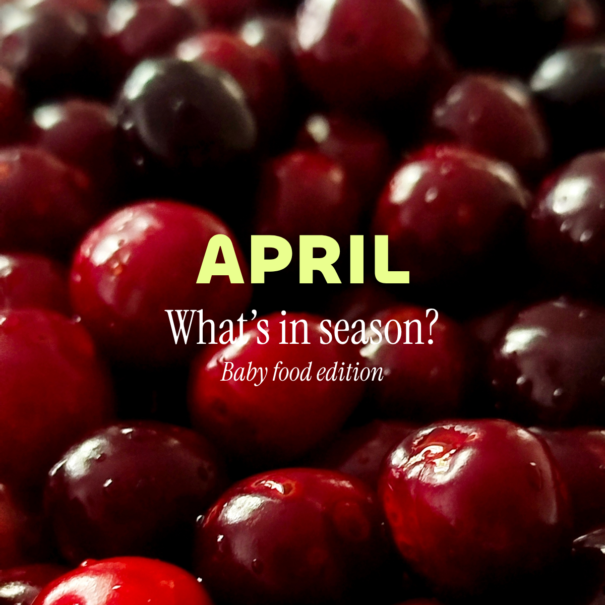 What's in Season: April Produce for Baby Food
