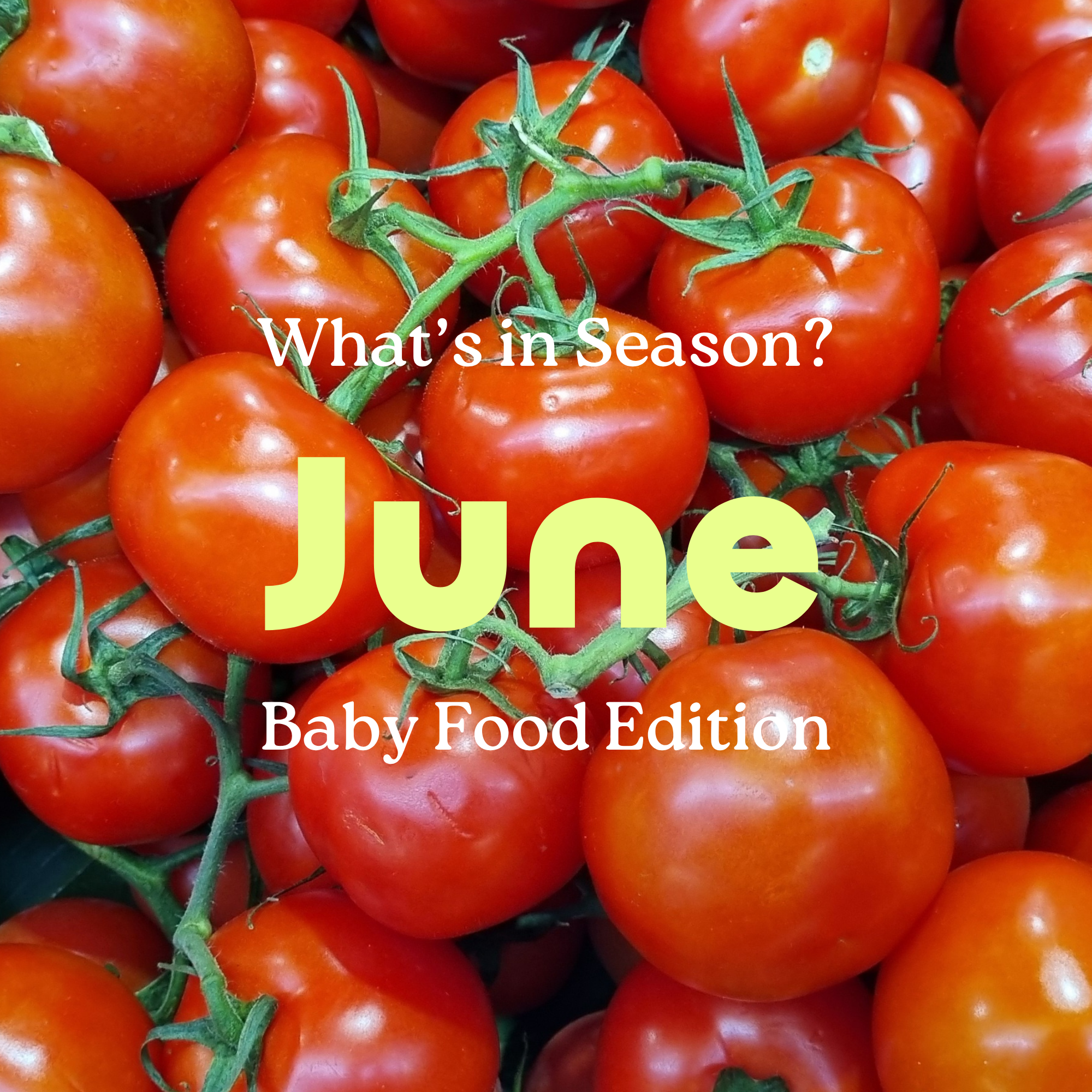 What's in Season: June Produce for Baby Food
