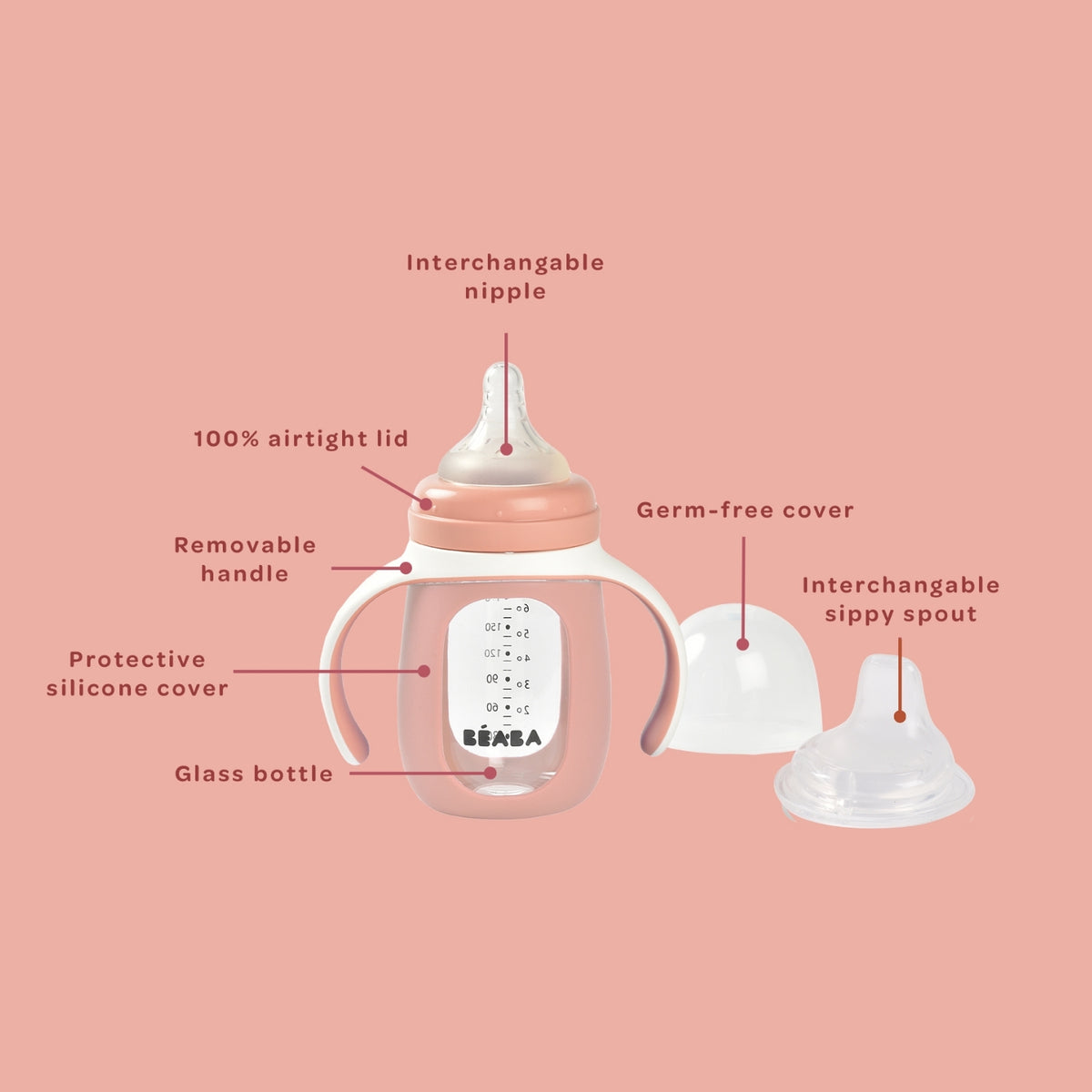 2-in-1 Glass Training Bottle